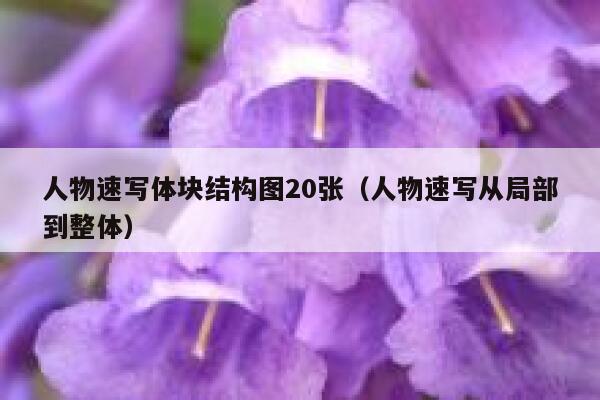 人物速写体块结构图20张（人物速写从局部到整体） 第1张