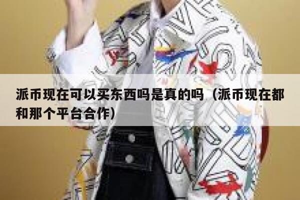 派币现在可以买东西吗是真的吗（派币现在都和那个平台合作） 第1张