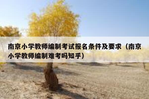 南京小学教师编制考试报名条件及要求（南京小学教师编制难考吗知乎） 第1张