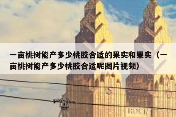一亩桃树能产多少桃胶合适的果实和果实（一亩桃树能产多少桃胶合适呢图片视频） 第1张
