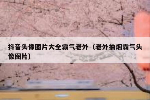 抖音头像图片大全霸气老外(老外抽烟霸气头像图片) 第1张 抖音头像图片大全霸气老外(老外抽烟霸气头像图片) 第1张