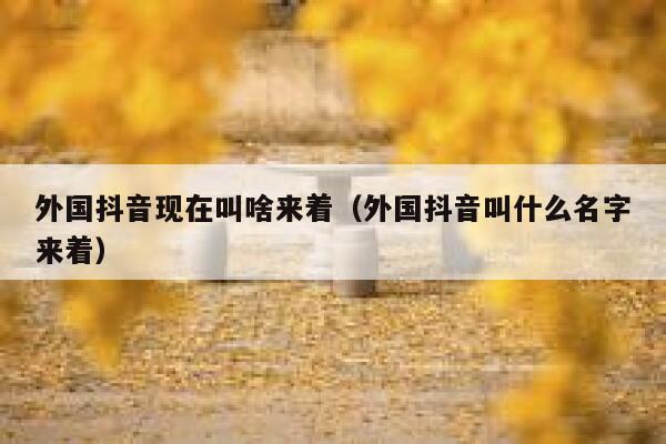 外国抖音现在叫啥来着（外国抖音叫什么名字来着） 第1张