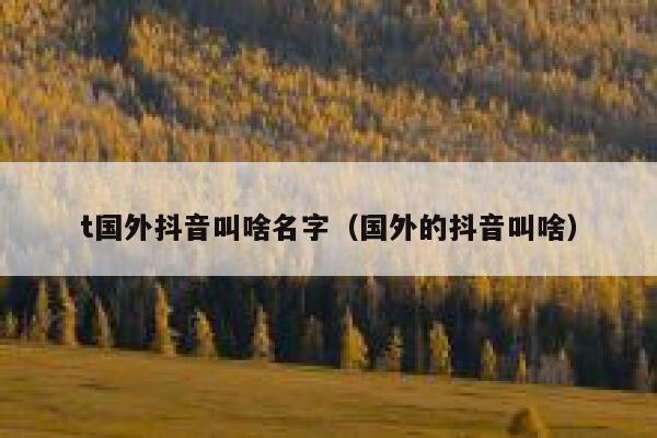 t国外抖音叫啥名字(国外的抖音叫啥) 第1张 t国外抖音叫啥名字(国外的抖音叫啥) 第1张