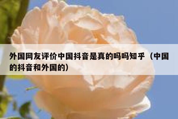 外国网友评价中国抖音是真的吗吗知乎（中国的抖音和外国的） 第1张