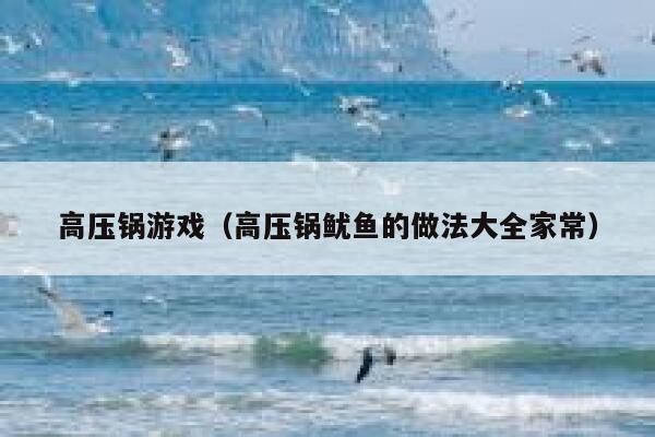高压锅游戏（高压锅鱿鱼的做法大全家常） 第1张
