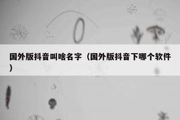 国外版抖音叫啥名字（国外版抖音下哪个软件） 第1张