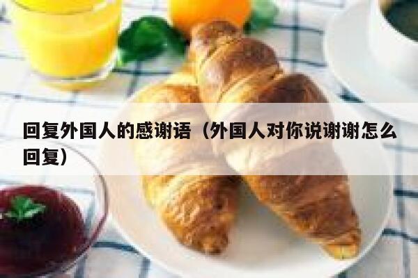 回复外国人的感谢语(外国人对你说谢谢怎么回复) 第1张 回复外国人的感谢语(外国人对你说谢谢怎么回复) 第1张