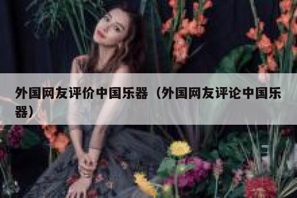 外国网友评价中国乐器（外国网友评论中国乐器） 第1张