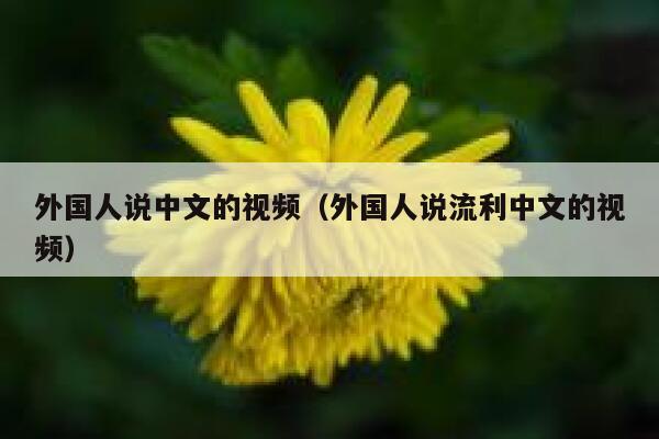 外国人说中文的视频（外国人说流利中文的视频） 第1张